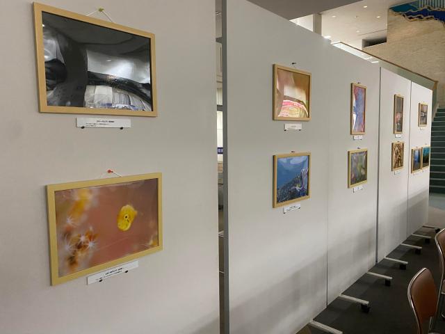 葉山町役場でフォトコンの受賞作品を展示してます！