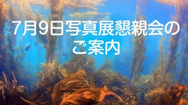 今日の色は緑！！