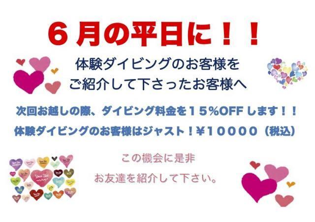 今日の色は緑！！
