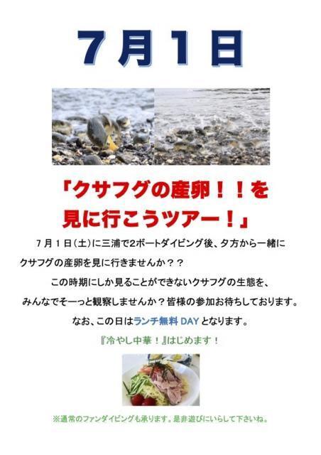 今日の色は緑！！