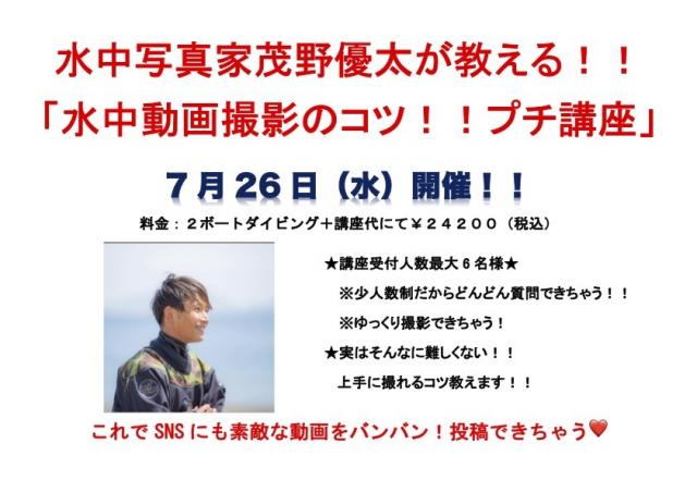 6月28日　ビーチでゆっくりダイビング
