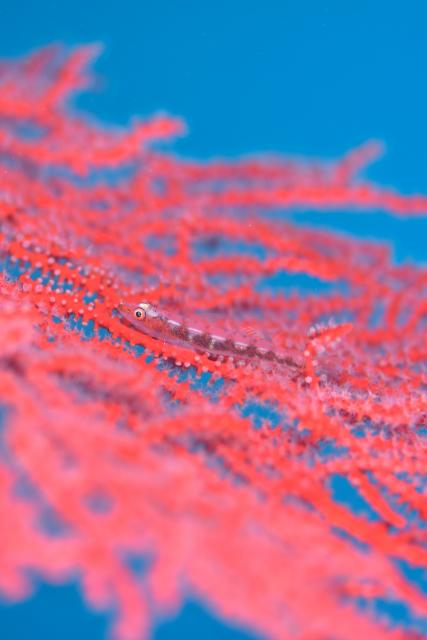 今日も大時化・・・江の浦へ　綺麗でした！