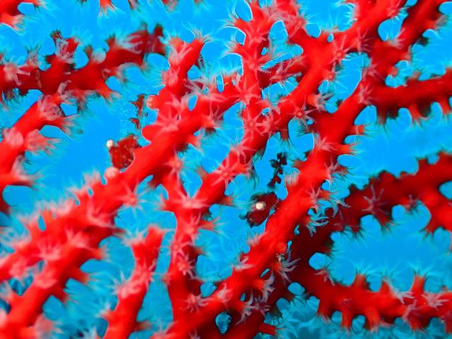 今日も大時化・・・江の浦へ　綺麗でした！