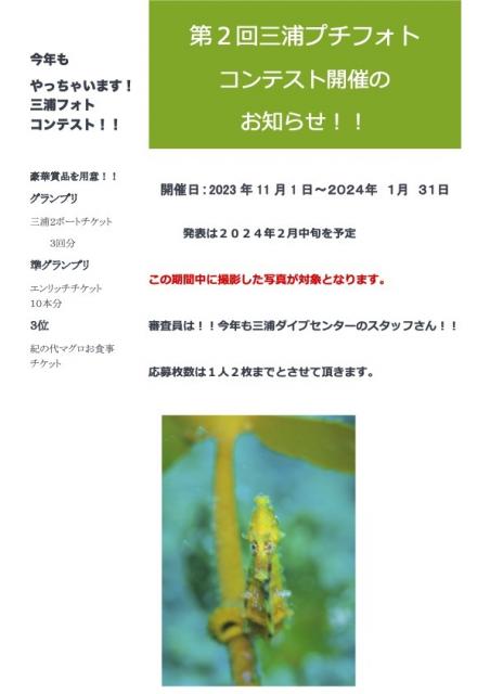 今日も大時化・・・江の浦へ　綺麗でした！