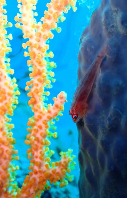 今日も大時化・・・江の浦へ　綺麗でした！