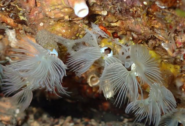 今日も大時化・・・江の浦へ　綺麗でした！