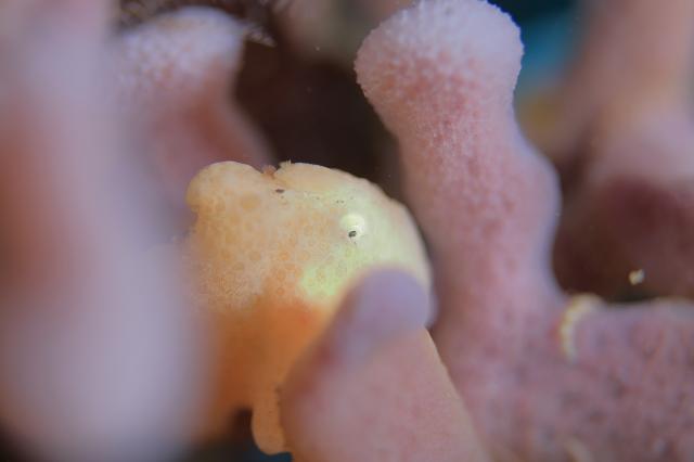 今日も大時化・・・江の浦へ　綺麗でした！