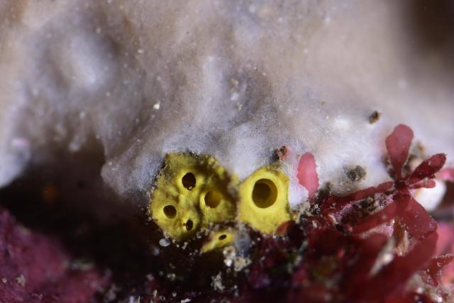 今日も大時化・・・江の浦へ　綺麗でした！
