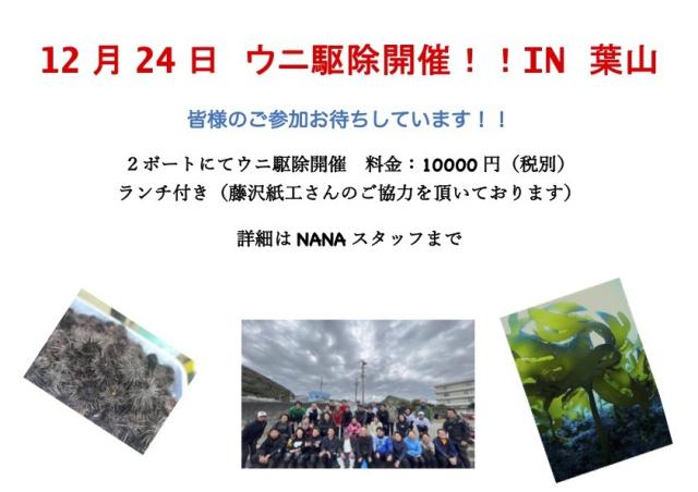 透視度が・・・やばいです。