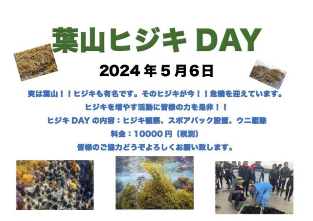 穏やかな海でした　GWスタート！！