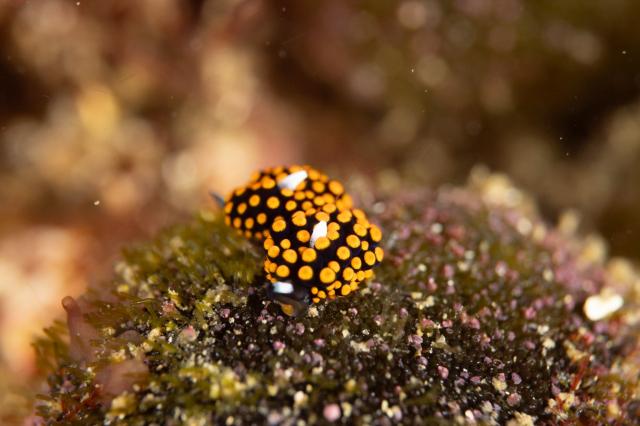 穏やかな海でした　GWスタート！！