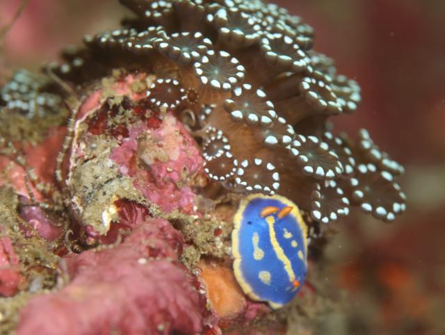 穏やかな海でした　GWスタート！！