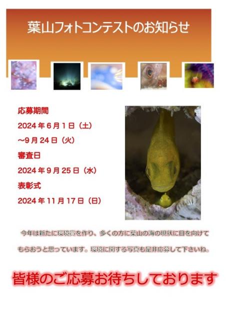イベントのお知らせも沢山あります。