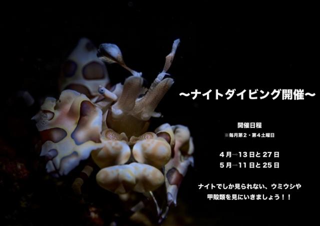 イベントのお知らせも沢山あります。