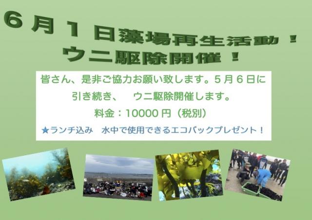 潮の満ち引きで透視度が大幅に変化！