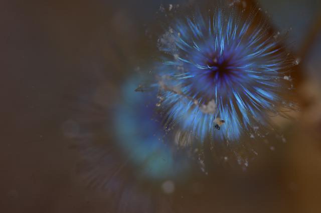雨降ってましたが、海は凪！