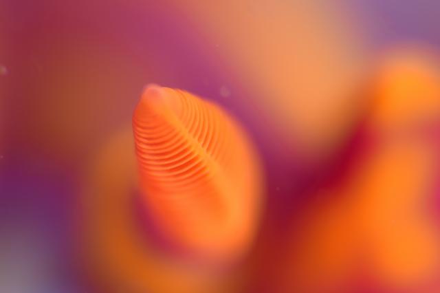 雨降ってましたが、海は凪！