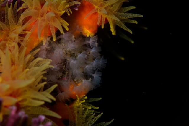 雨降ってましたが、海は凪！