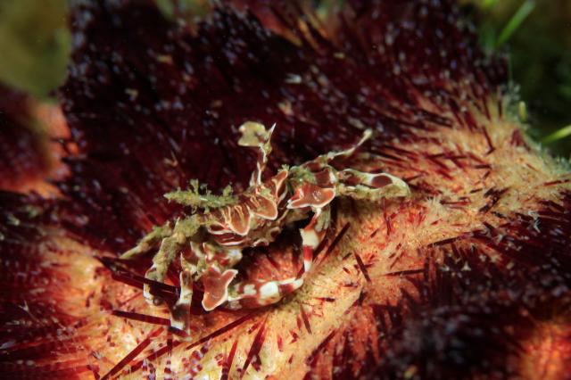雨降ってましたが、海は凪！