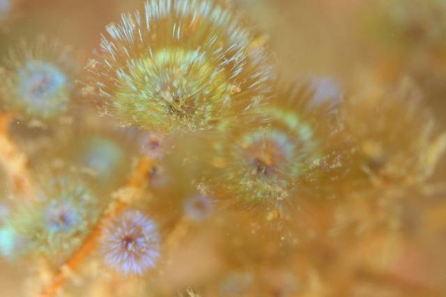 雨降ってましたが、海は凪！
