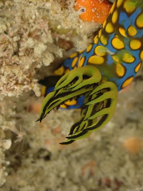 雨降ってましたが、海は凪！