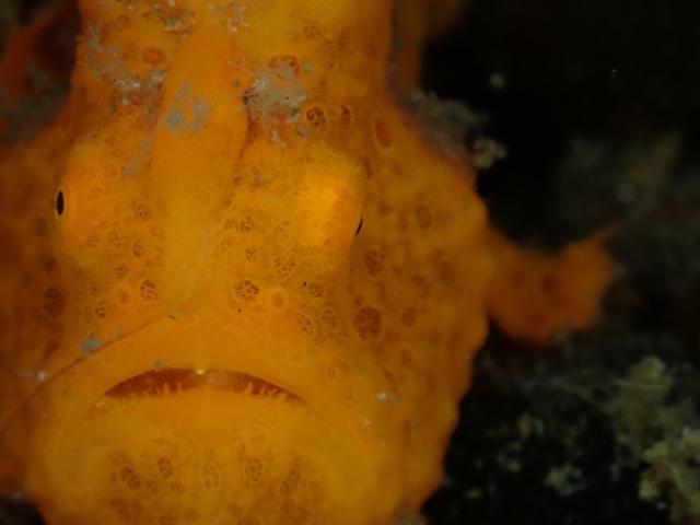 雨降ってましたが、海は凪！