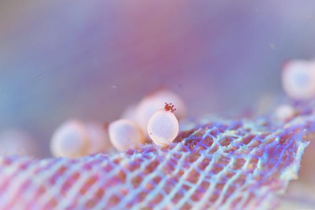 雨降ってましたが、海は凪！