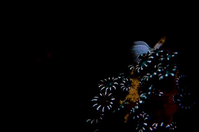 雨降ってましたが、海は凪！