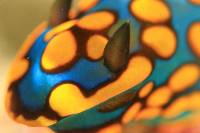 ガッツリ潜り込んできました〜！！