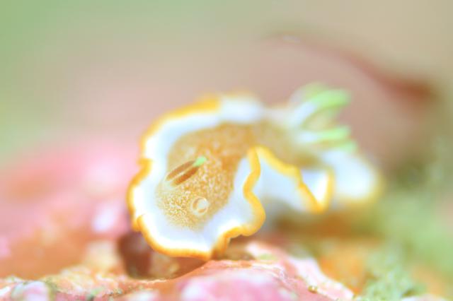 ガッツリ潜り込んできました〜！！