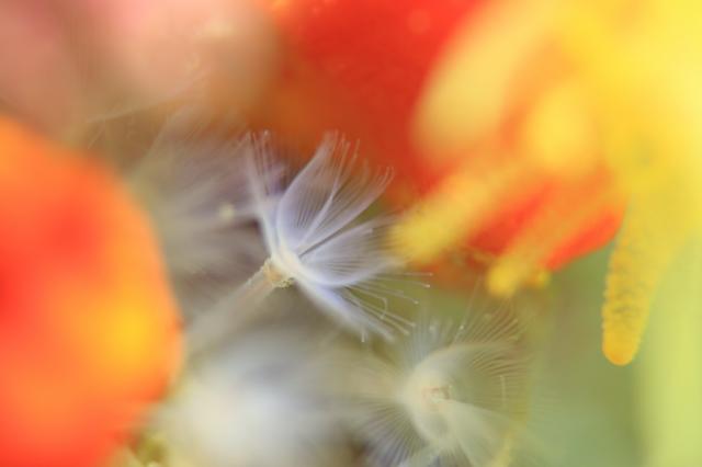 ガッツリ潜り込んできました〜！！