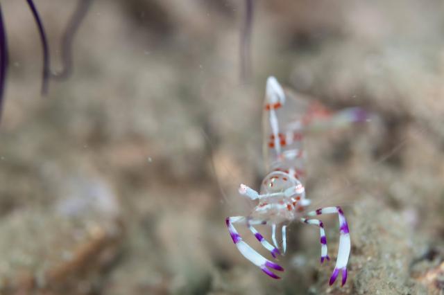 ガッツリ潜り込んできました〜！！