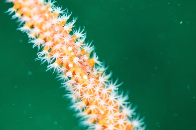 ガッツリ潜り込んできました〜！！