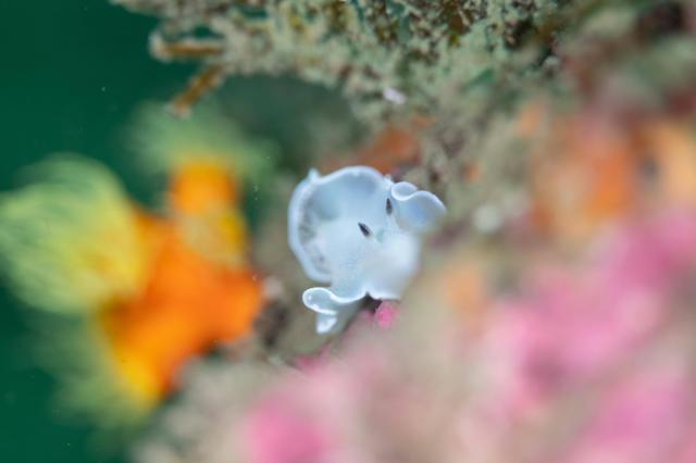 ガッツリ潜り込んできました〜！！