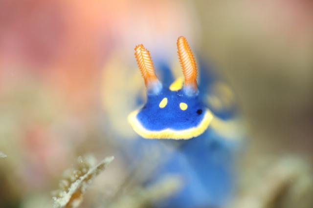 ガッツリ潜り込んできました〜！！