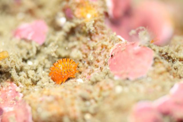 ガッツリ潜り込んできました〜！！