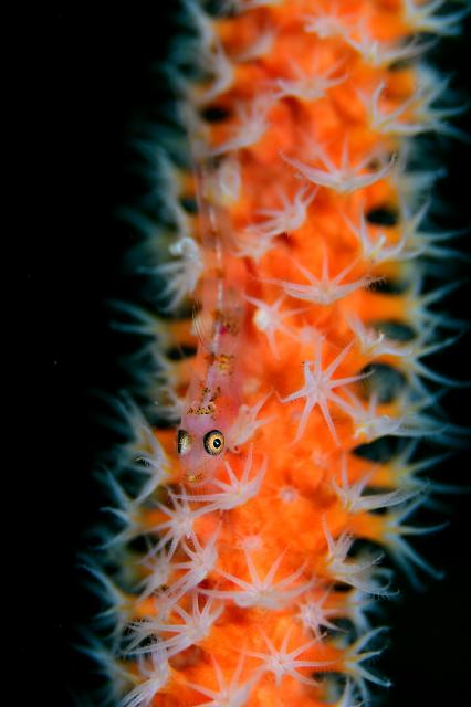 ガッツリ潜り込んできました〜！！