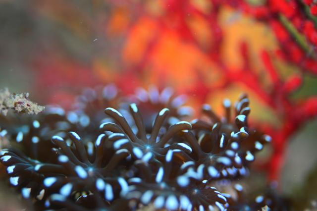 ガッツリ潜り込んできました〜！！