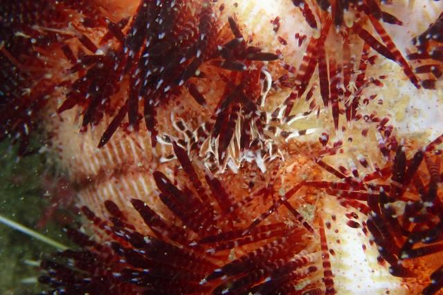 ガッツリ潜り込んできました〜！！