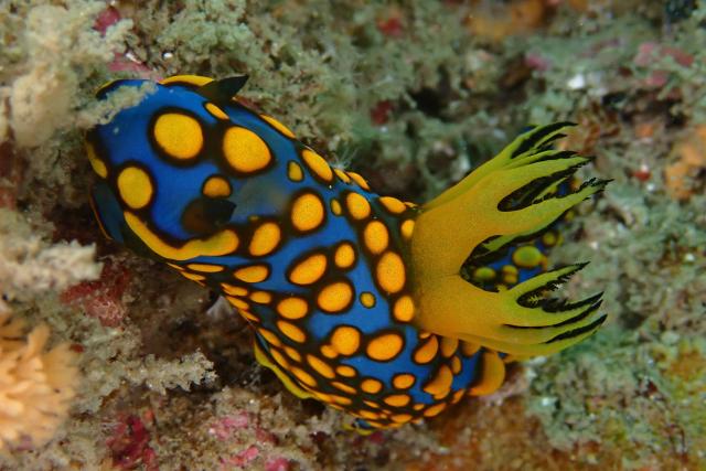 ガッツリ潜り込んできました〜！！