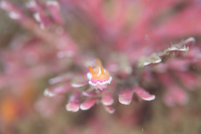 ガッツリ潜り込んできました〜！！