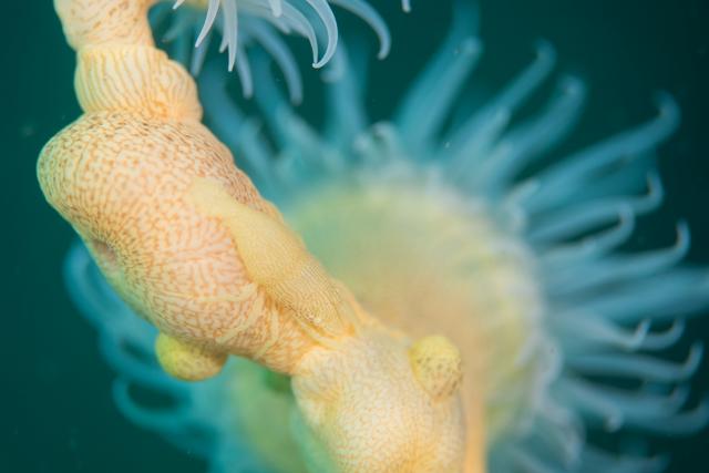 ガッツリ潜り込んできました〜！！