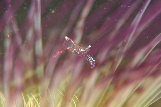 ガッツリ潜り込んできました〜！！