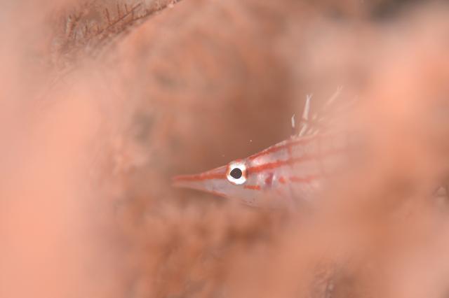 ガッツリ潜り込んできました〜！！