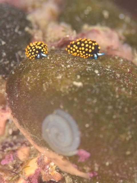 ガッツリ潜り込んできました〜！！