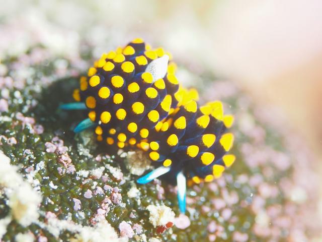 ガッツリ潜り込んできました〜！！