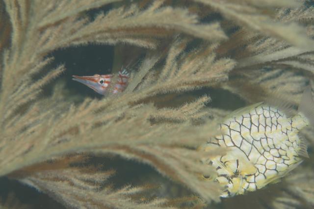 ガッツリ潜り込んできました〜！！