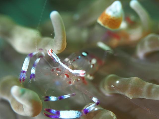 ガッツリ潜り込んできました〜！！