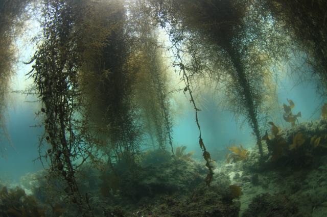 三浦のビーチ堪能してきました