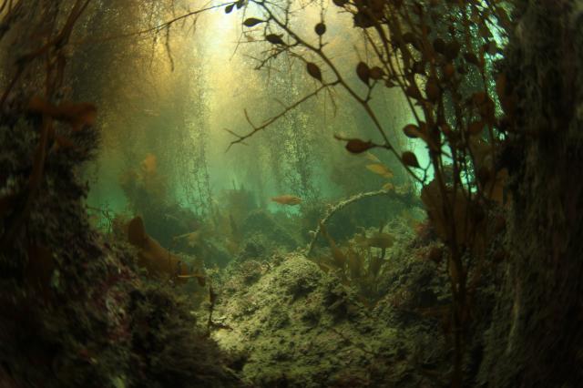 三浦のビーチ堪能してきました